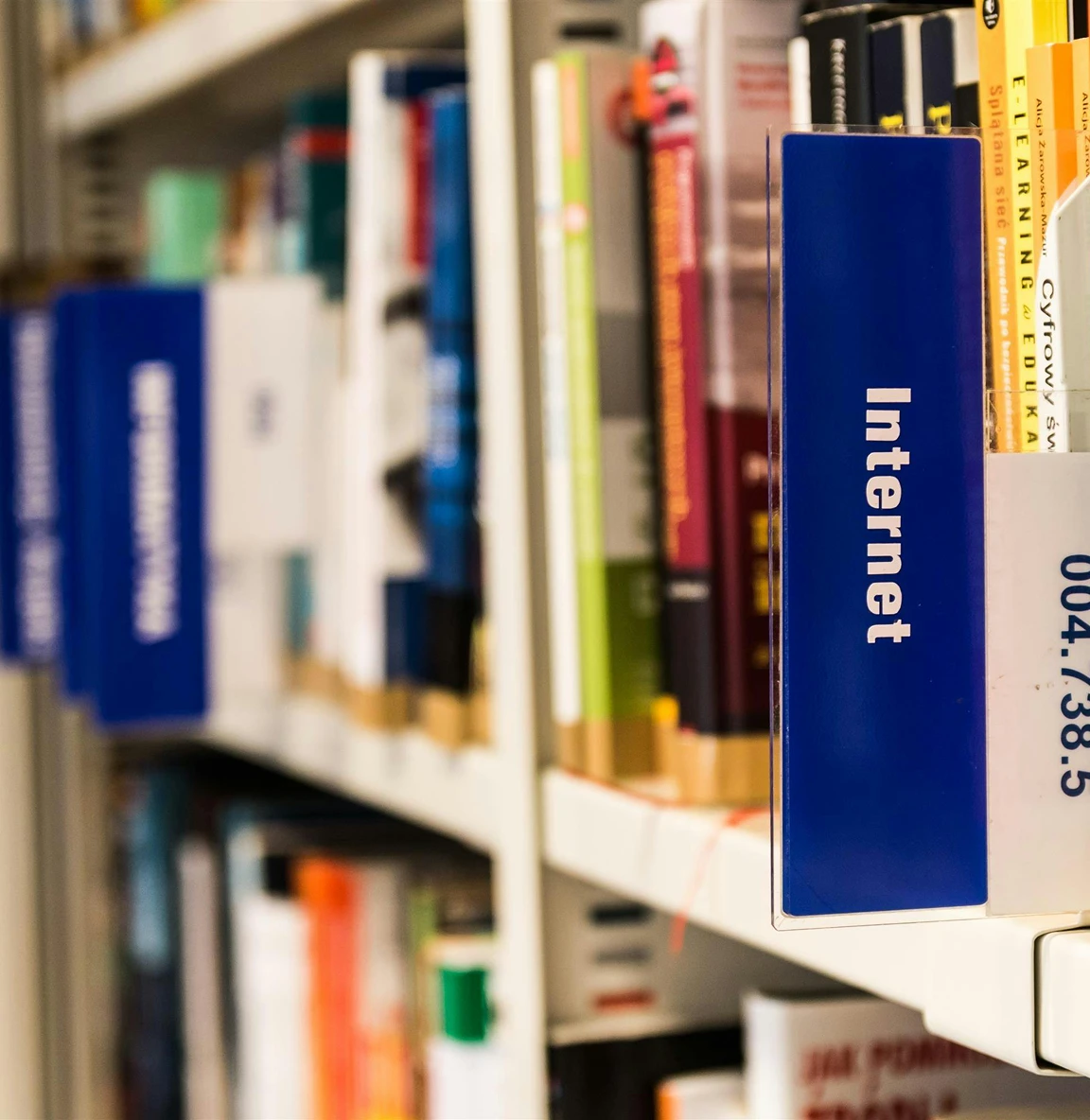 Bookshelf in a library showing books and section dividers, with the one in focus reading Internet