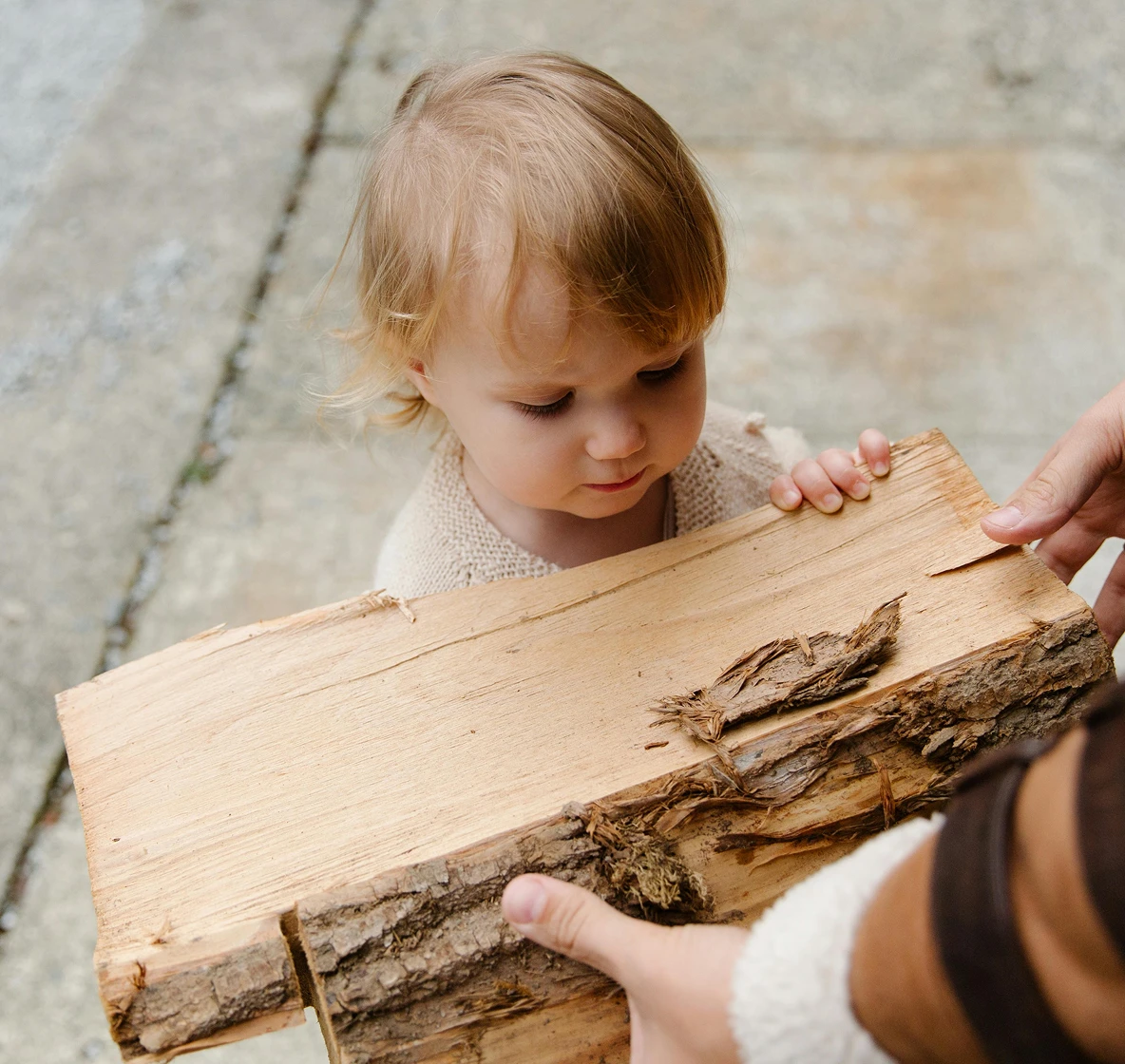 Young child examining a log and broken bark